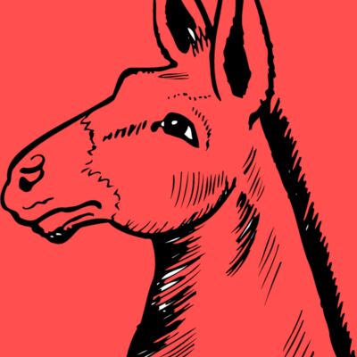 Animals Thumbnail