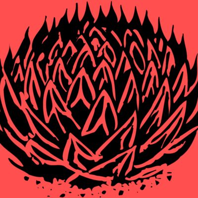 Plants Thumbnail